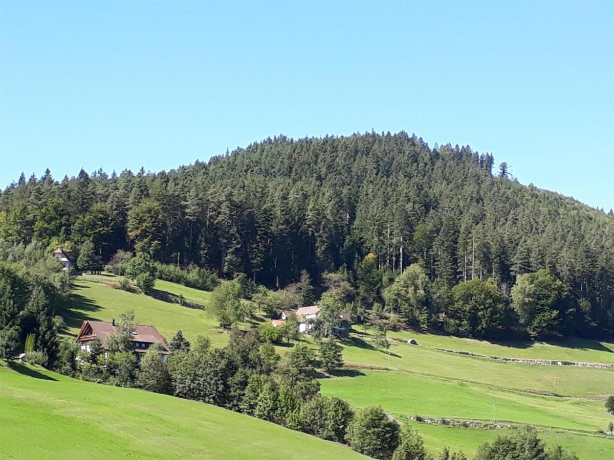 Isoldes Landhaus Baiersbronn Buitenkant foto