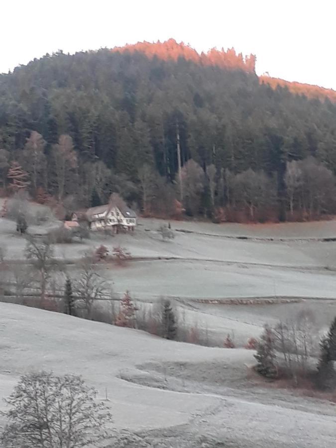 Isoldes Landhaus Baiersbronn Buitenkant foto